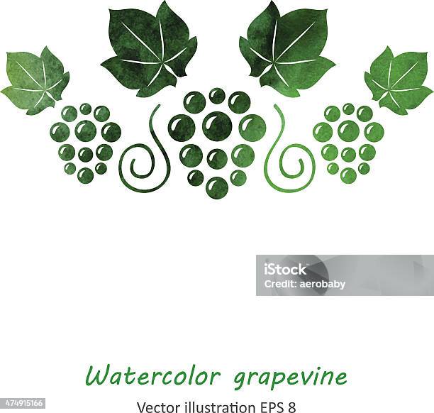 Акварельные Зеленый Виноград Vine — стоковая векторная графика и другие изображения на тему 2015 - 2015, Без людей, Векторная графика