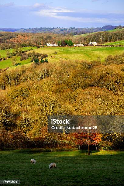 O Campo - Fotografias de stock e mais imagens de Agricultura - Agricultura, Alqueive, Beleza natural