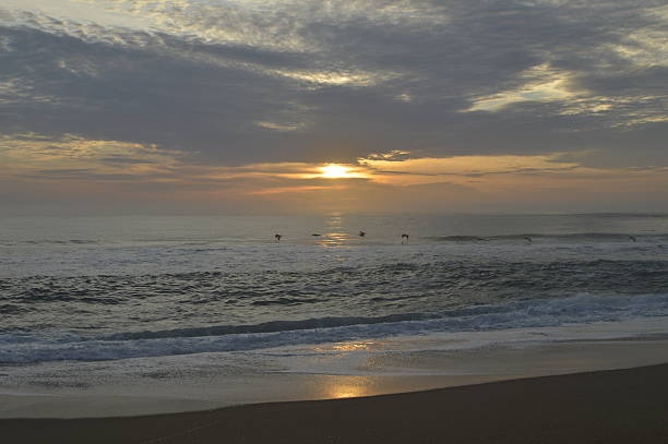 istock Ocean Sunrise with Birds 474921744