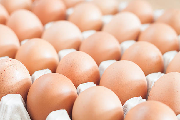 uova di pollo fresco chiuso - agriculture brown burlap cholesterol foto e immagini stock