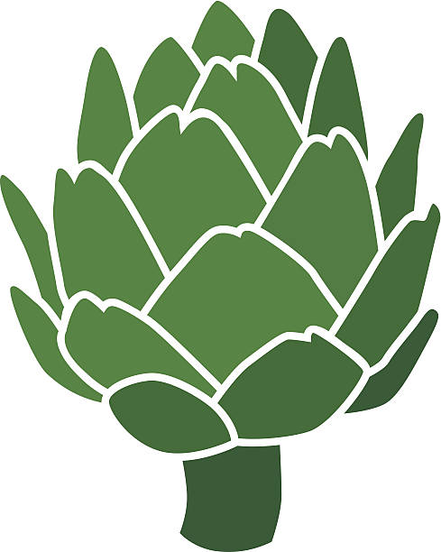 артишок в цвет - artichoke stock illustrations