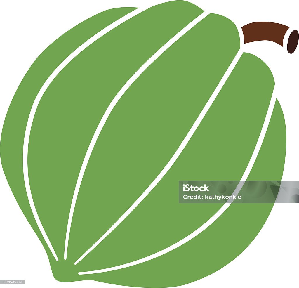 acorn squash in color A vector illustration of acorn squash in color. Acorn Squash stock vector