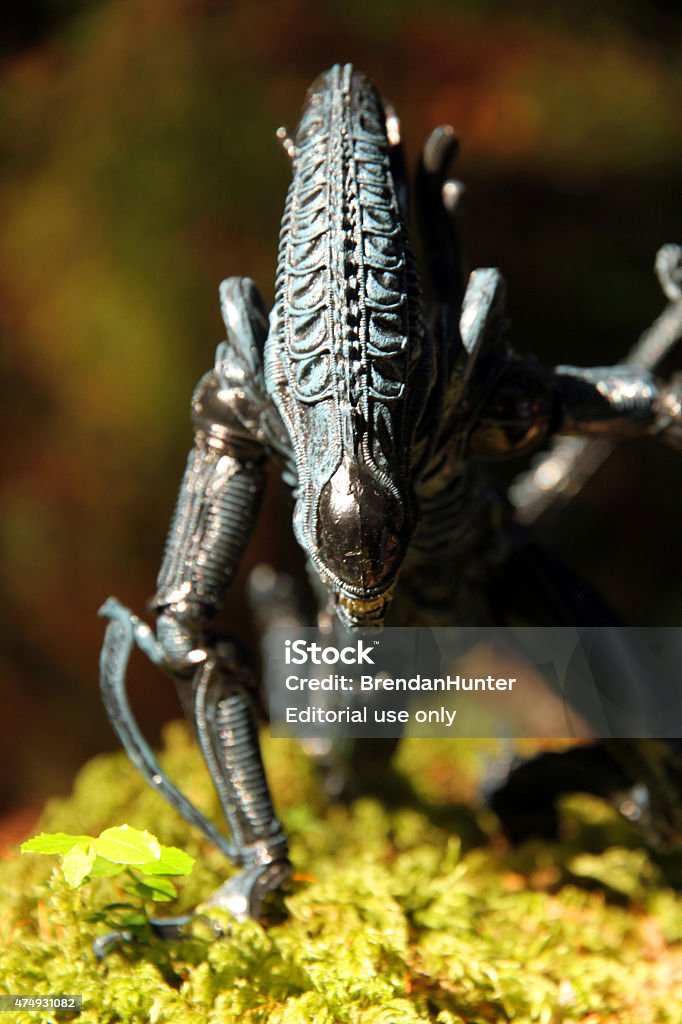 To Devour West Vancouver, Canada - May 19, 2015: A model of a Xenomorph from the "Aliens" film franchise, in the rainforest of Lighthouse Park, in West Vancouver, British Columbia. The model is made by NECA.  1980-1989 Stock Photo