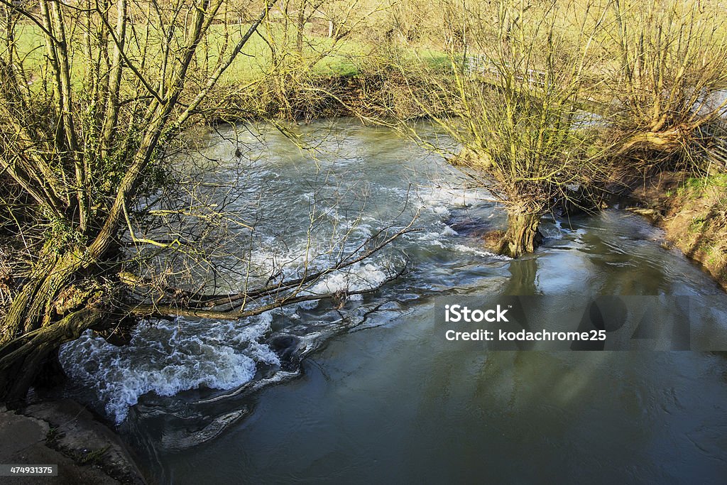 Al río - Foto de stock de Escena rural libre de derechos