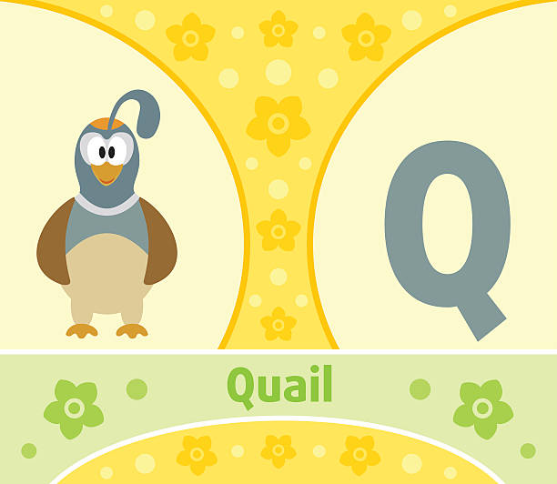 The English Alphabet Q Stock Illustration - Download Image Now - Spelling Bee, 2015, Alphabetical Order - iStock The English Alphabet Q Stock Illustration - Download Image Now - Spelling Bee, 2015, Alphabetical Order - iStock