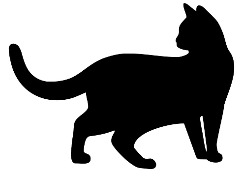 Cat, black silhouette. Pictogram.