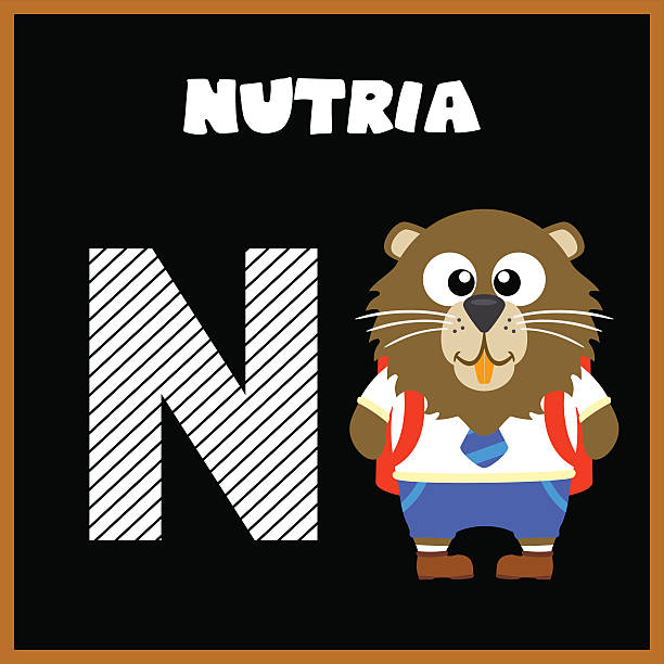 The English alphabet letter N The English alphabet letter N, Nutria nutria rodent animal alphabet stock illustrations