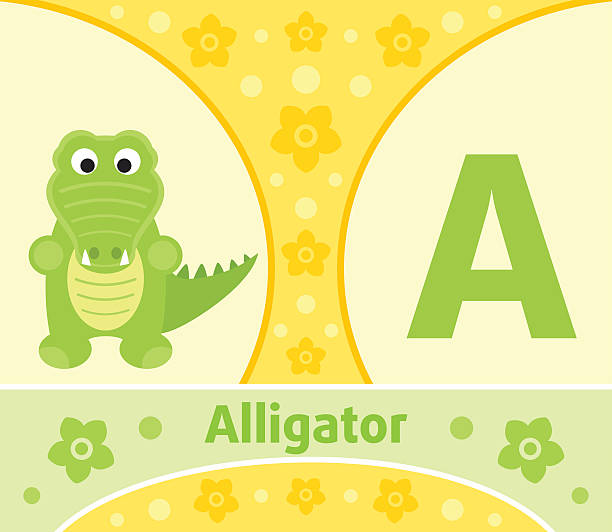 The English alphabet A The English alphabet with Alligator spelling bee stock illustrations