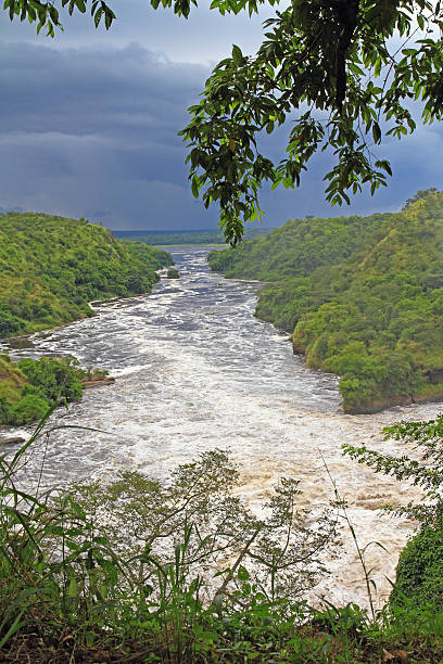 istock The Nile River Downstream from Murchsion Falls 474936295