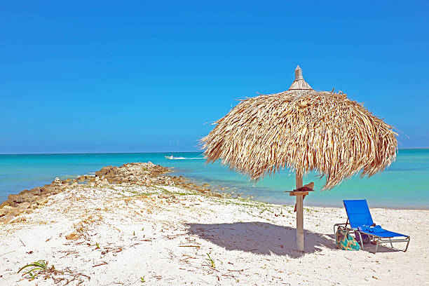 istock Grass umbrella at the beach on Aruba 474936904