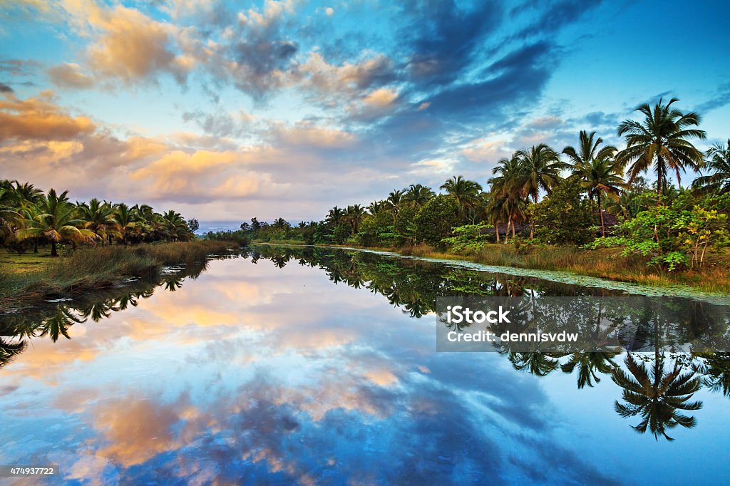 Palm lake reflections Tropical scene at sunrise with palm trees reflected in the water in Maraontsetra, Madagascar Madagascar Stock Photo