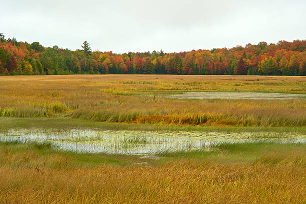 Michigan, Upper Peninsula.