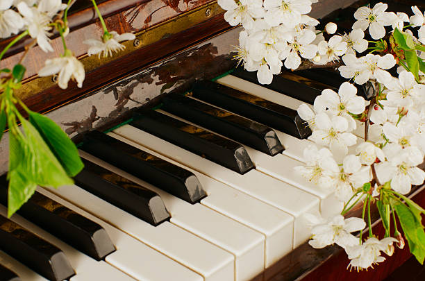 istock the blossoming cherry on a piano 474938128