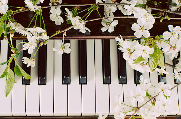 istock the blossoming cherry on a piano 474939554