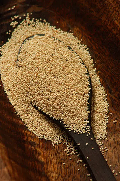 Poppy seeds - The centre of origin of Poppy is the Western Mediterranean region of Europe and is cultivated in India, USSR, Egypt, Yugoslavia, Poland, Germany, the Netherlands, China, Japan, Argentina, Spain, Bulgaria, Hungary, and Portugal for its legal pharmaceutical use. It is also grown illegally for the narcotic trade in Burma, Thailand and Laos (Golden Triangle) and Afghanistan, Pakistan and Iran (Golden Crescent). Poppy seed (Khas Khas) is used as food and as a source of fatty oil. It is widely used for culinary purposes. Because of its highly nutritive nature it is used in breads, cakes, cookies, pastries, curries, sweets and confectionary. Its seeds are demulcent and are used against constipation. The capsules are used as a sedative against irritant coughing and sleeplessness in the form syrup or extract.