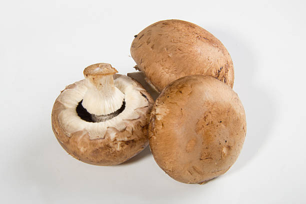 kastanien pilze auf weiß - chestnut cooked isolated white stock-fotos und bilder