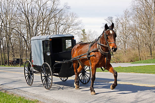istock Amish Horse and Carriage 474943223