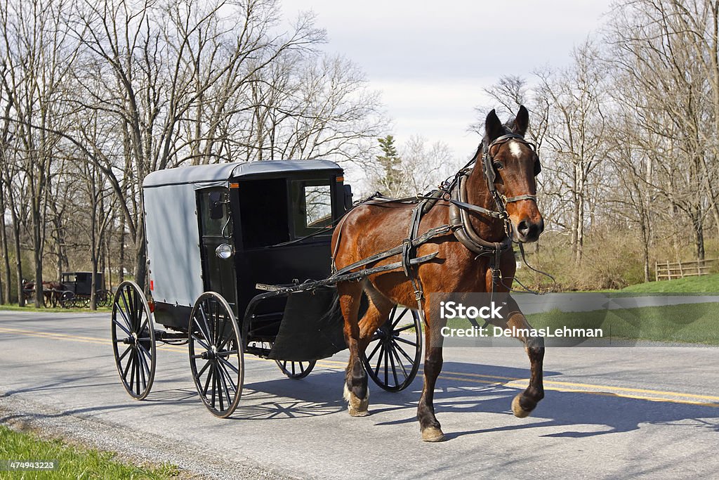 Amish Horse and Carriage An Amish horse and carriage travels on a rural road in Lancaster County, Pennsylvania, USA. Carriage Stock Photo