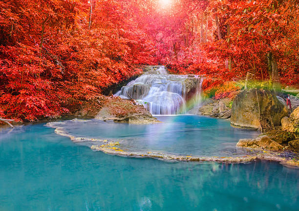 catarata de bonitos com arcos-íris num floresta profunda nos a par - awe beauty in nature waterfall cool imagens e fotografias de stock