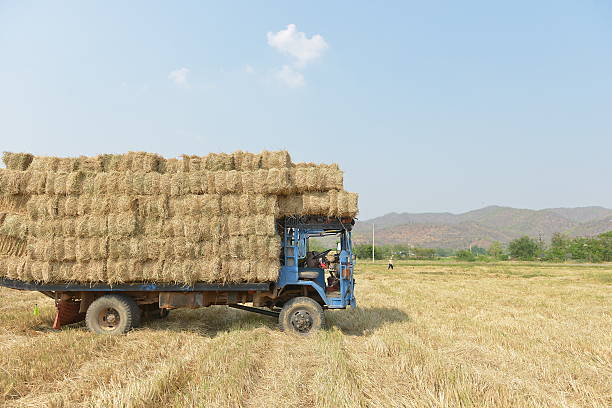 Straw on the truck
