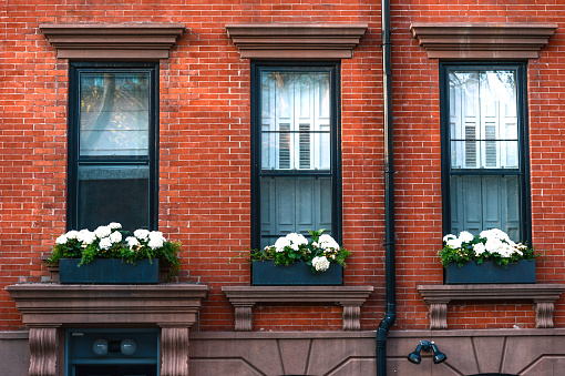 Windows of brownstone in historical neighborhood Brooklyn.