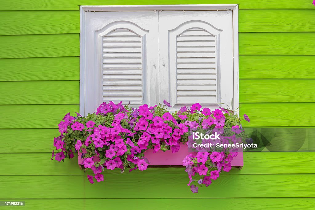 flowerpot with colored petunia on the village window Blue Stock Photo