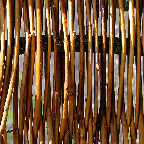 Photo of woven willow branches