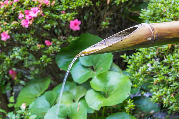 istock The bamboo tube which leads water 474956600
