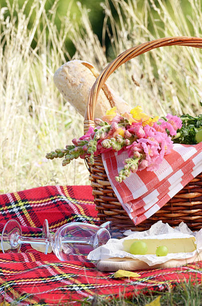 istock Wine cheese bread and fruits 474958360