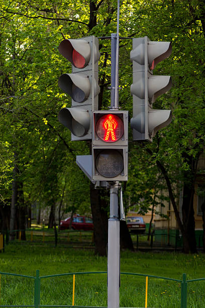 istock pedestrian traffic lights on trees background 474959552