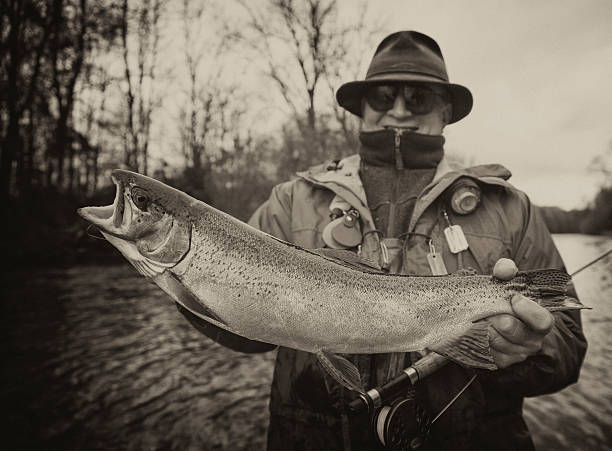 Vintage  Flyfishing - old Flyfisher with Trout Vintage  Flyfishing forelle pear stock pictures, royalty-free photos & images