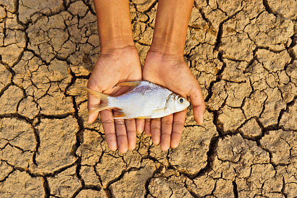 The End of Fish's Life