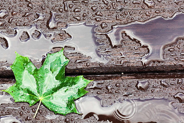 Wet floor stock photo