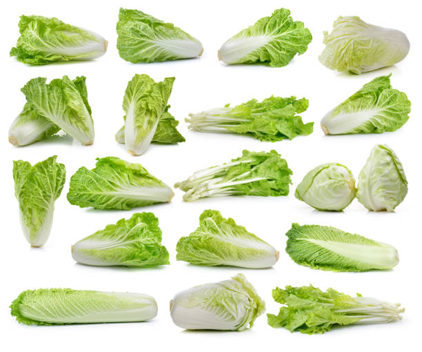 istock fresh chinese cabbage and lettuce on white background 474965262