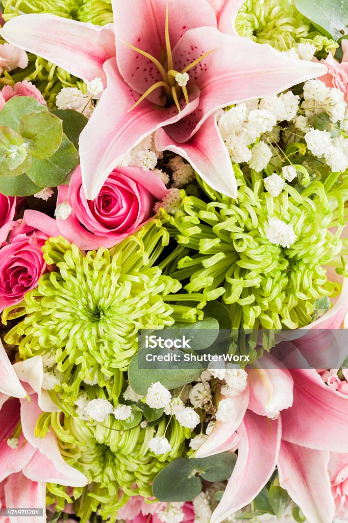 Flower Macro Close-up Background Image Of Colorful Flower Heads 2015 Stock Photo