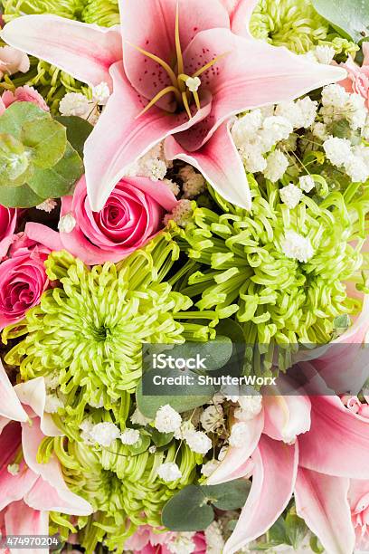 Flower Macro Stock Photo - Download Image Now - 2015, Beauty In Nature, Bouquet