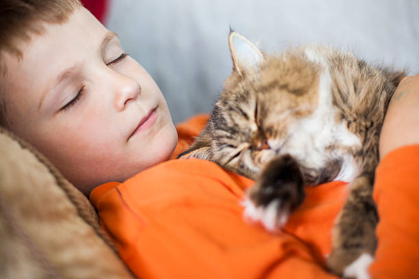 istock Boy and persian cat sleeping together on the couch 474973864