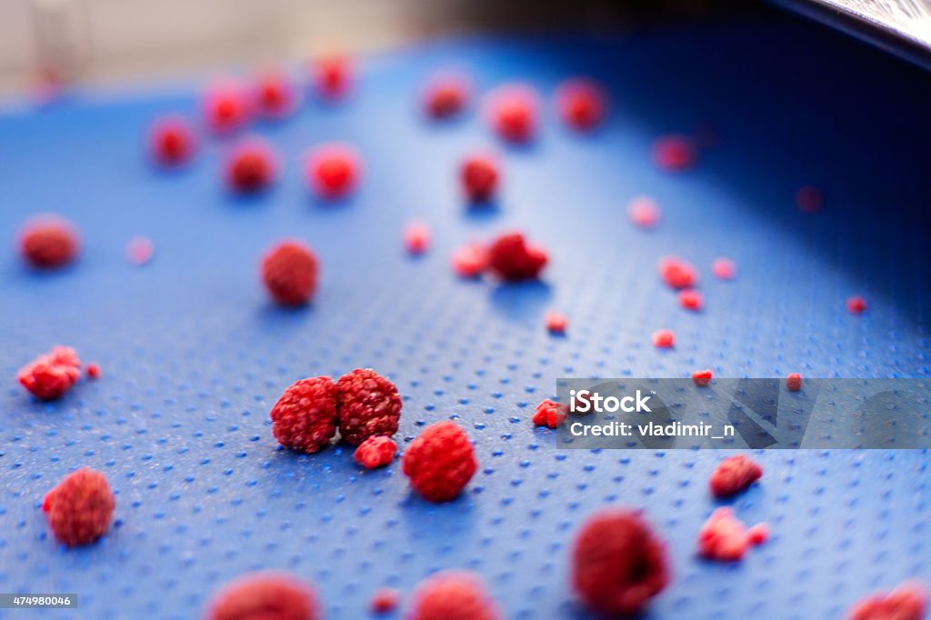 frozen raspberry processing business frozen red raspberries inlaser sorting and processing machine 2015 Stock Photo