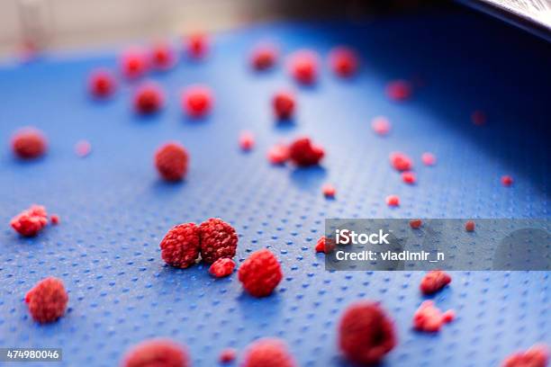 Frozen Raspberry Processing Business Stock Photo - Download Image Now - 2015, Activity, Agriculture