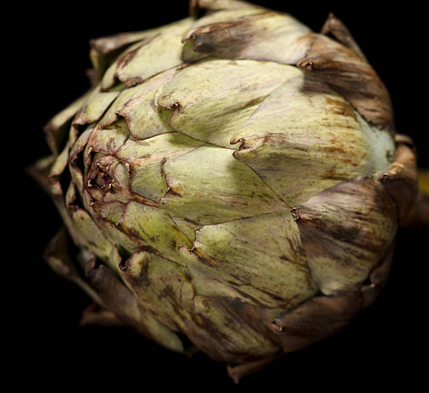 artichoke