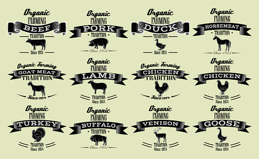 set vector template in retro style for packaging with livestock and poultry