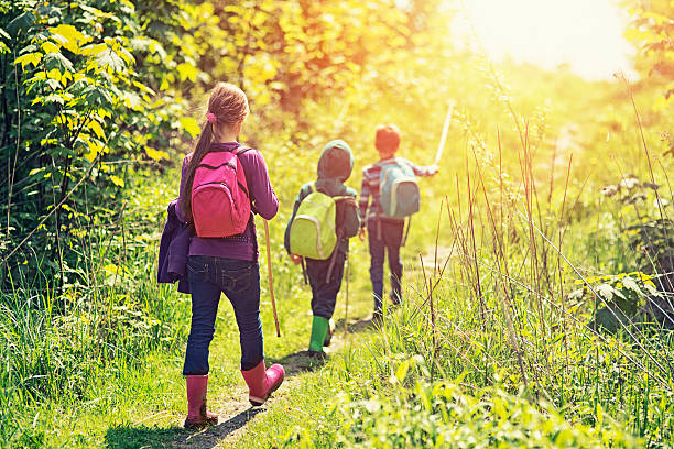 istock Little hikers walking on a sunny day 474989804