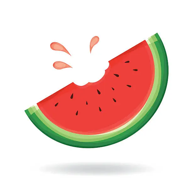 Vector illustration of Watermelon