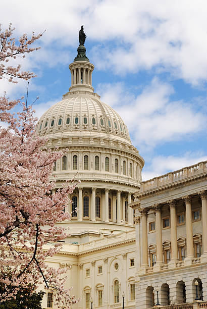 istock Capitol Building in Washington DC 474993708