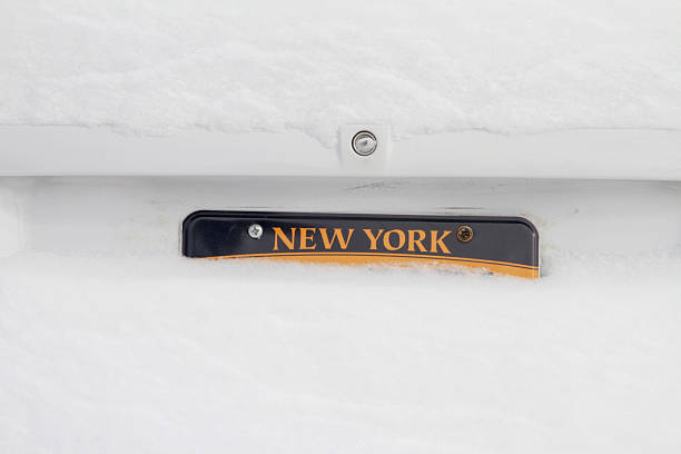 License Plate in Snow New York license plate nearly covered in snow. new york state license plate stock pictures, royalty-free photos & images