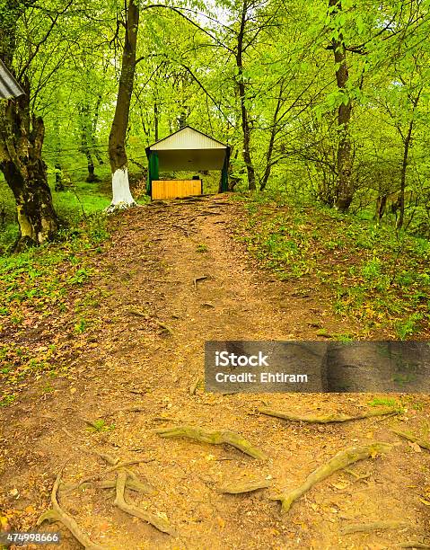 Arbor In The Forest Stock Photo - Download Image Now - 2015, Autumn, Beauty