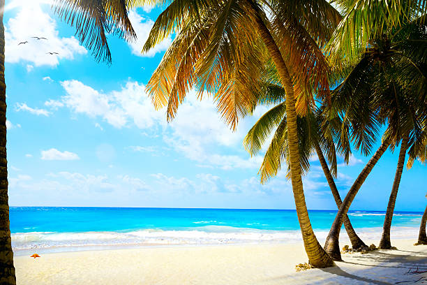 istock Art  beautiful untouched tropical sea beach 475002969