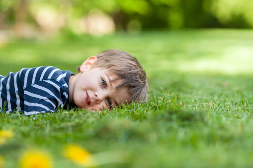 Smiling little boy, lying in the grass, smiling at the camera, copy space on the right