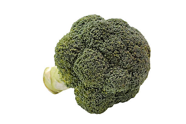 Broccoli isolated on white Broccoli isolated on whiteBroccoli isolated on white brokoli stock pictures, royalty-free photos & images