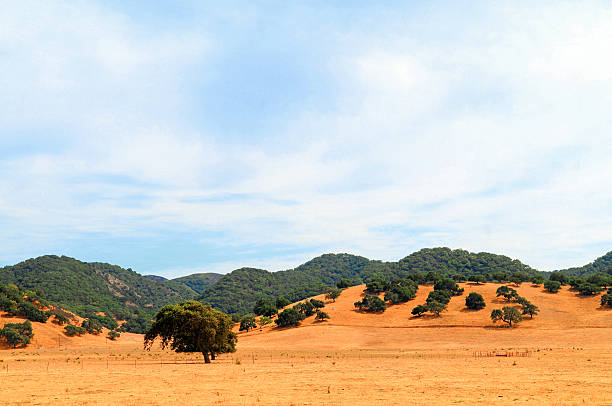 Central California, desert like landscape. stock photo